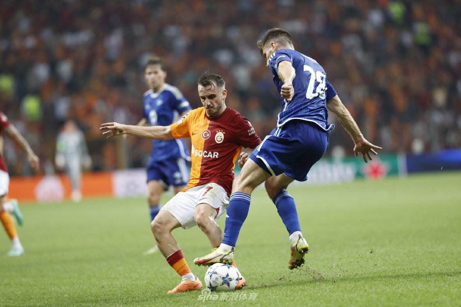 丰富的参考 丰富的参考